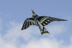 Bedford2014-078