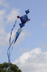 Bedford2014-081