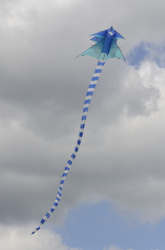 Bedford2014-089