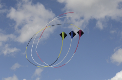 Bedford2014-098