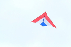 Bedford2016-007