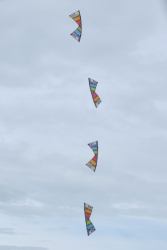 Bedford2016-037