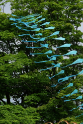 Birdoswald2016-009