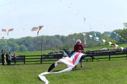 Birdoswald2016-035