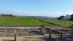 Birdoswald2016-043