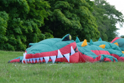 Birdoswald2016-048