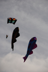 Allendale2008-003