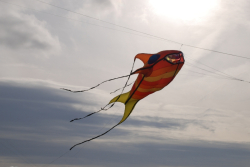 Allendale2008-012