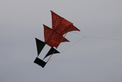 Allendale2008-029