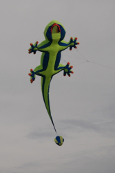 Allendale2008-042