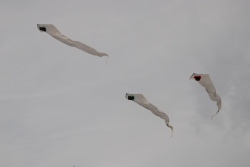 Allendale2008-055