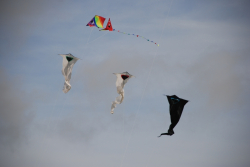 Allendale2008-070