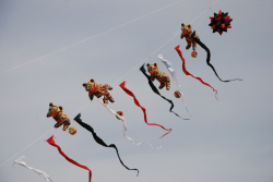 Allendale2008-077