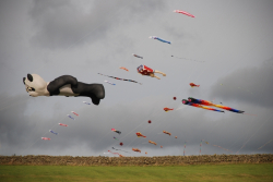 Allendale2008-093
