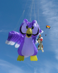 Beacon2006-003
