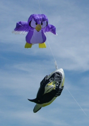 Beacon2006-006