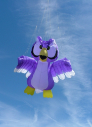Beacon2006-008