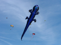 Beacon2006-009