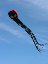 Beacon2006-012