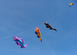 Beacon2006-015