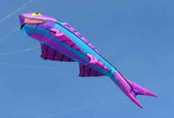 Beacon2006-016