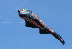 Beacon2006-017
