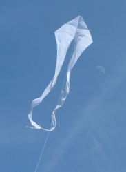 Beacon2006-019