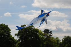 bedford2013-022