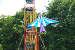 bedford2013-026