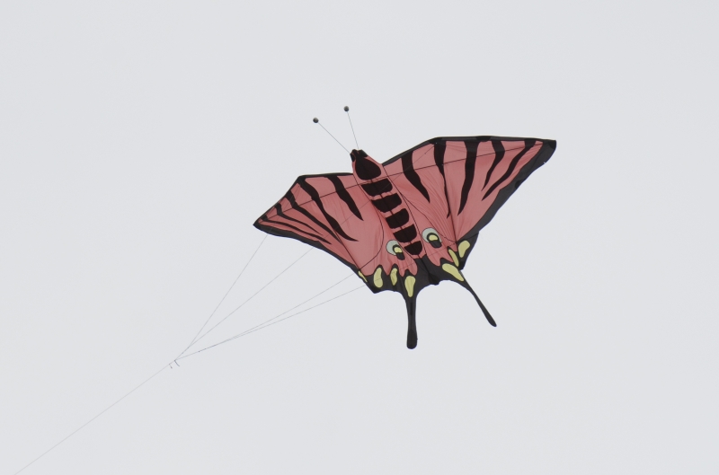 Bedford2014-001