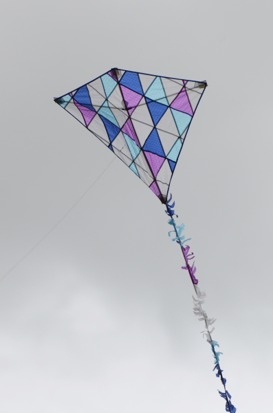 Bedford2014-011