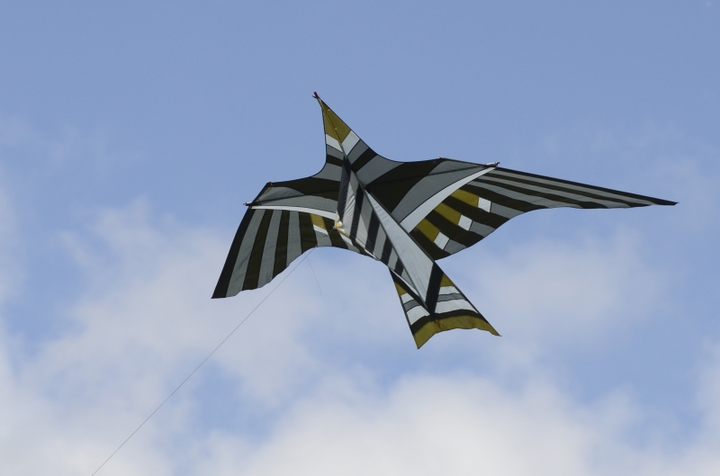 Bedford2014-078