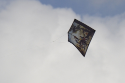Bedford2014-034