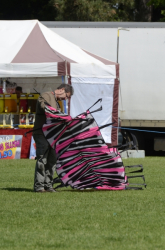 Bedford2014-051