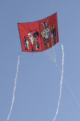 Bedford2014-058