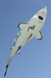 Bedford2014-061