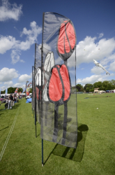 Bedford2014-063