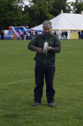 Bedford2014-066