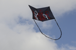 Bedford2014-079