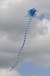 Bedford2014-089