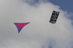 Bedford2014-101