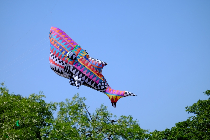 Bedford2015-098