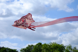 Bedford2015-035