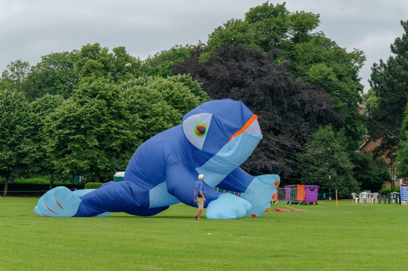 Bedford2018-027