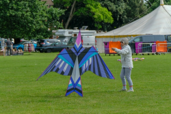 Bedford2018-029