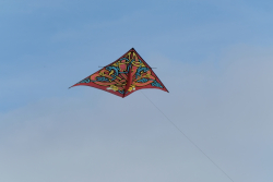 Bedford2018-063