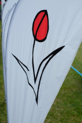 Bedford2018-073