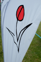 Bedford2018-073