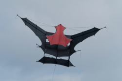 Bedford2018-076