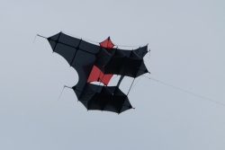 Bedford2018-077